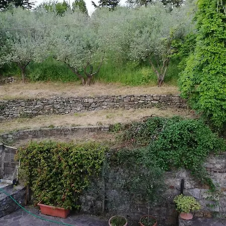 Guest house Vacanza Nel Verde Prato (Prato)