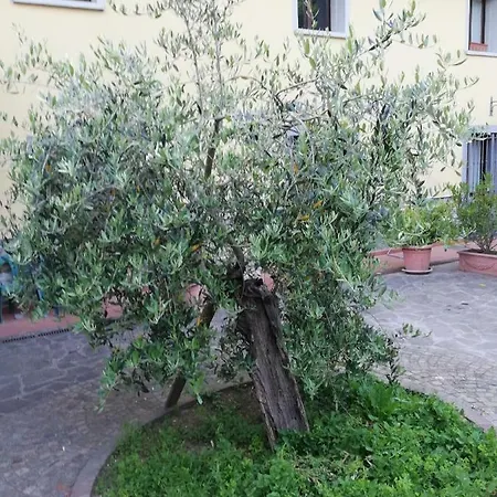 Vacanza Nel Verde 普拉托